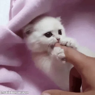 👐