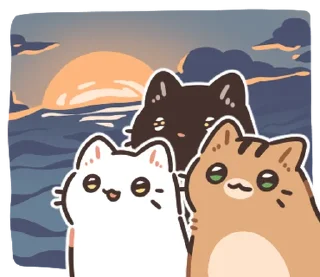 ⭐
