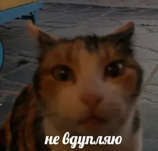 🧐