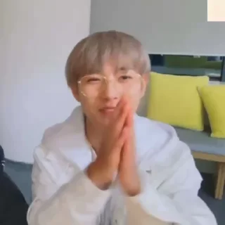 🦊