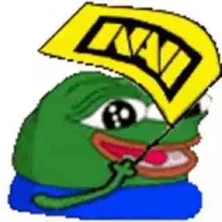 🚩