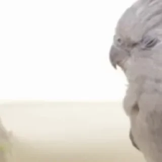🥰