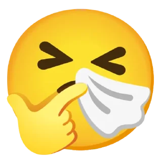 🤧