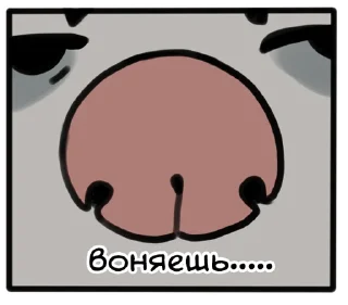 👃