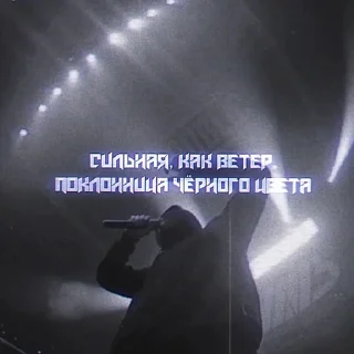 🤍