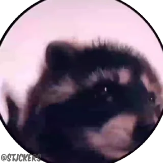 🕺