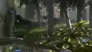 🤢