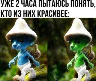 🌟