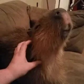 💗