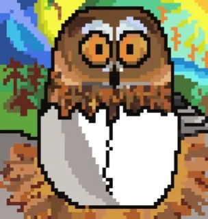 🤩