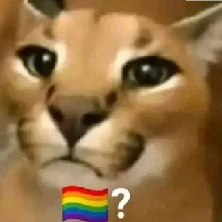 🏳️‍🌈