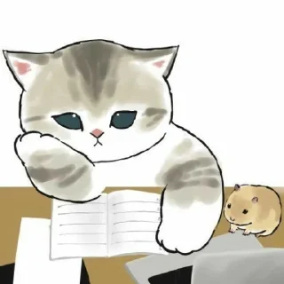 😿