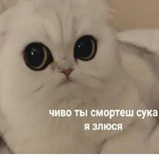 😠