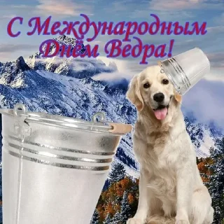 🤪