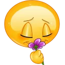 🌺