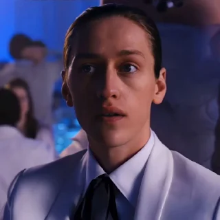 🕷️