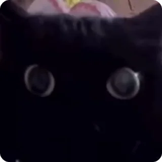 😧