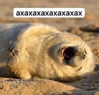 🤣