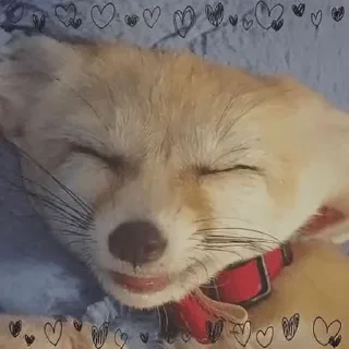 😊