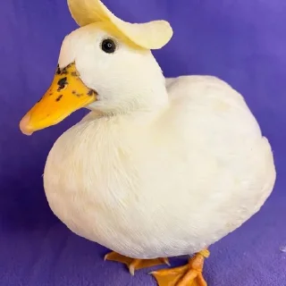 🙂