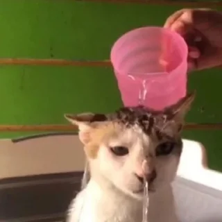 😕