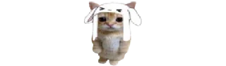 🐈