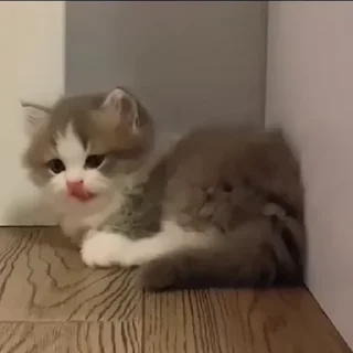 💗