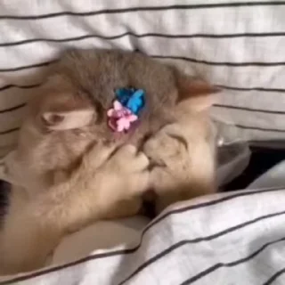 💕