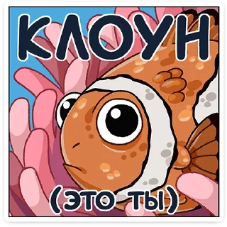 🐟