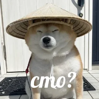 😑