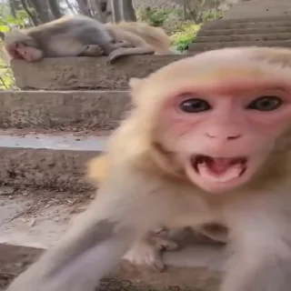 😱