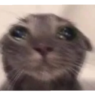 😭