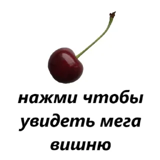 🍒