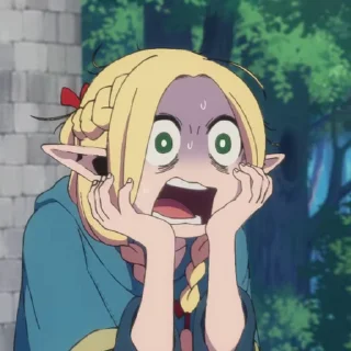 🙀