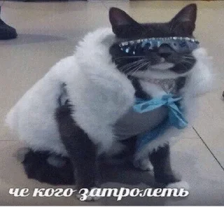 🤪