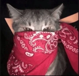 👹