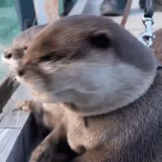 😱