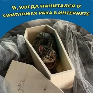 ⚰️