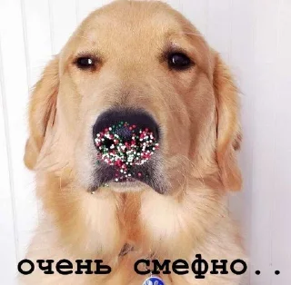 😒