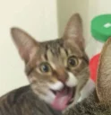 😜