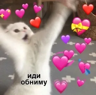 💖