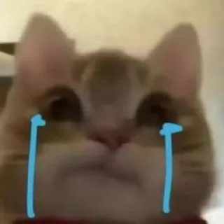 😭