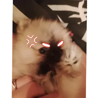 😡