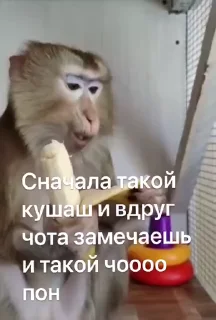 😱