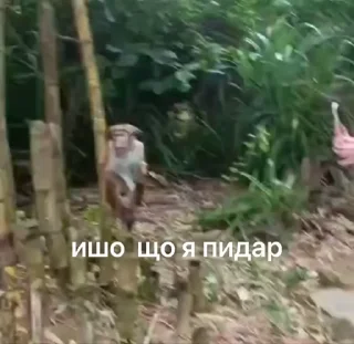 😳