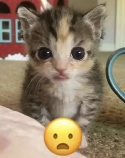 😦
