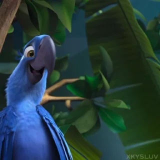 🦜