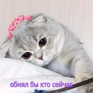 ☹️