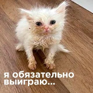 🤧