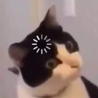 🗿